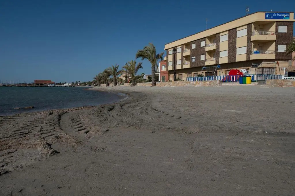 Apartamentos La Encarnación I