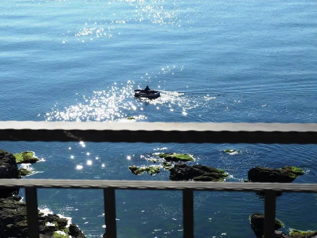 "Rock and Wave" Apartments with sea view in Sozopol
