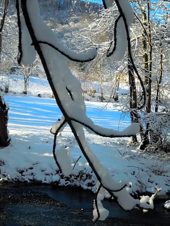 La Grande Ourse
