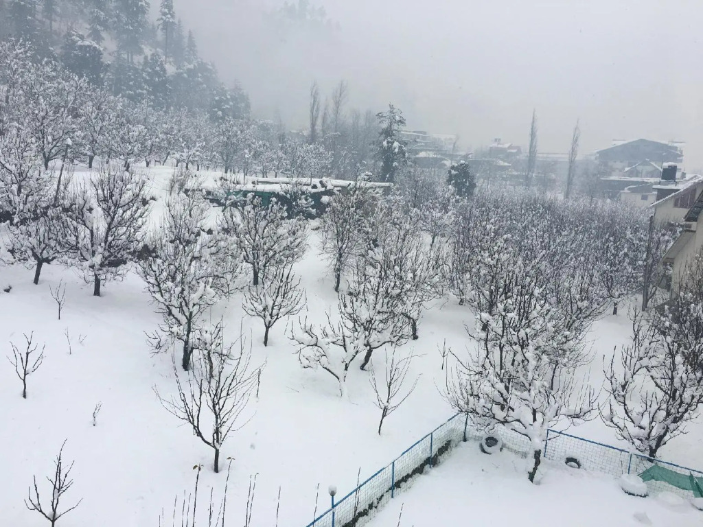 Antriksh Cottage Manali