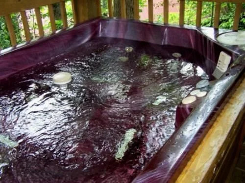 Mountain Shadow Resort
