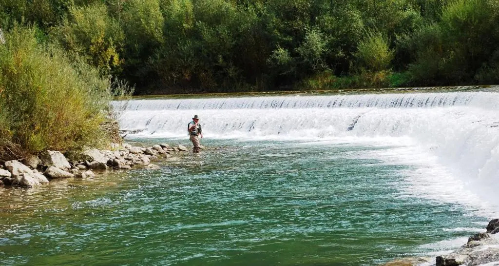 Farm Stay Žagar