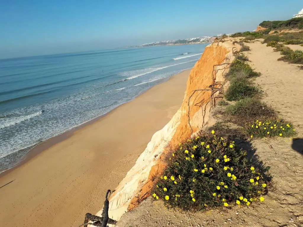 Apartamento Albufeira 6 B
