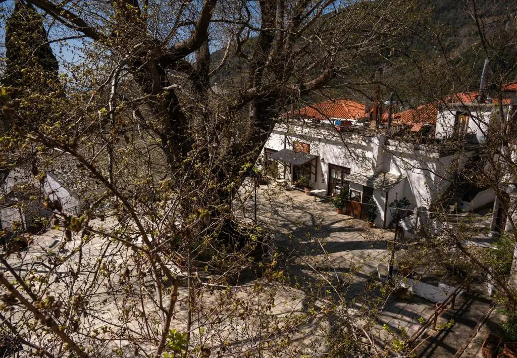 Stamoulis' house