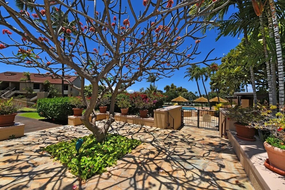 Kaanapali Royal #n302 2 Bedroom Condo by RedAwning