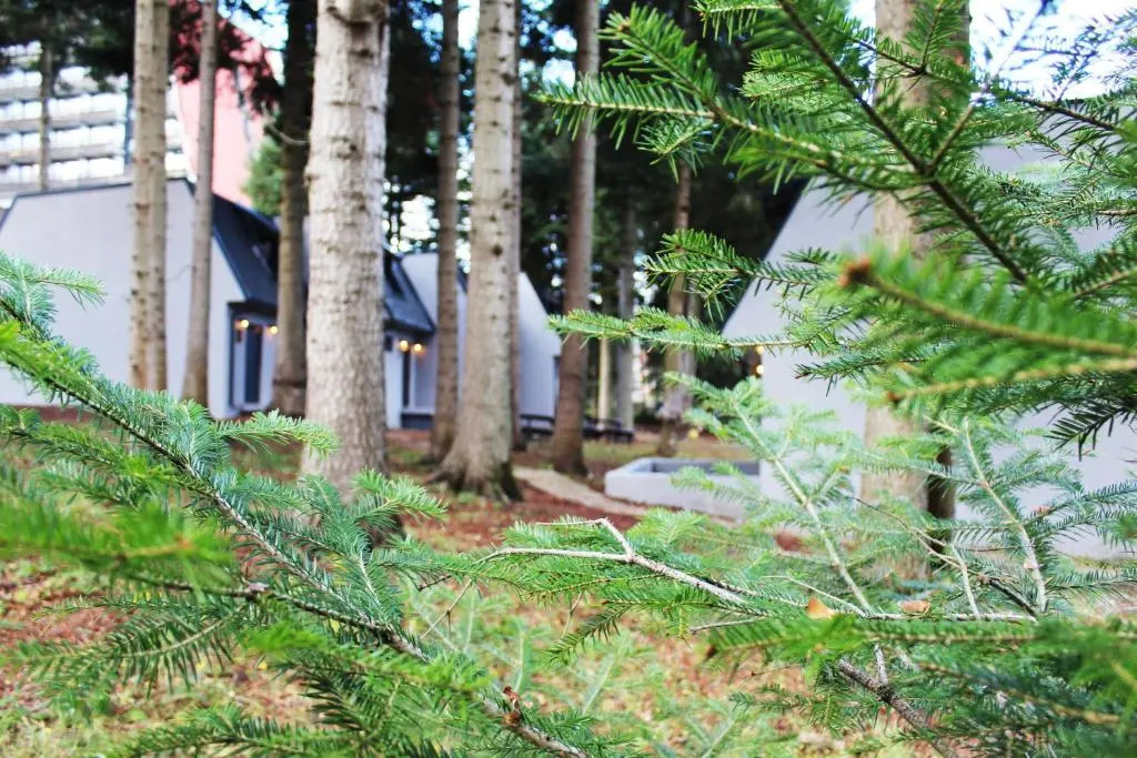 Boro Green Holiday Village