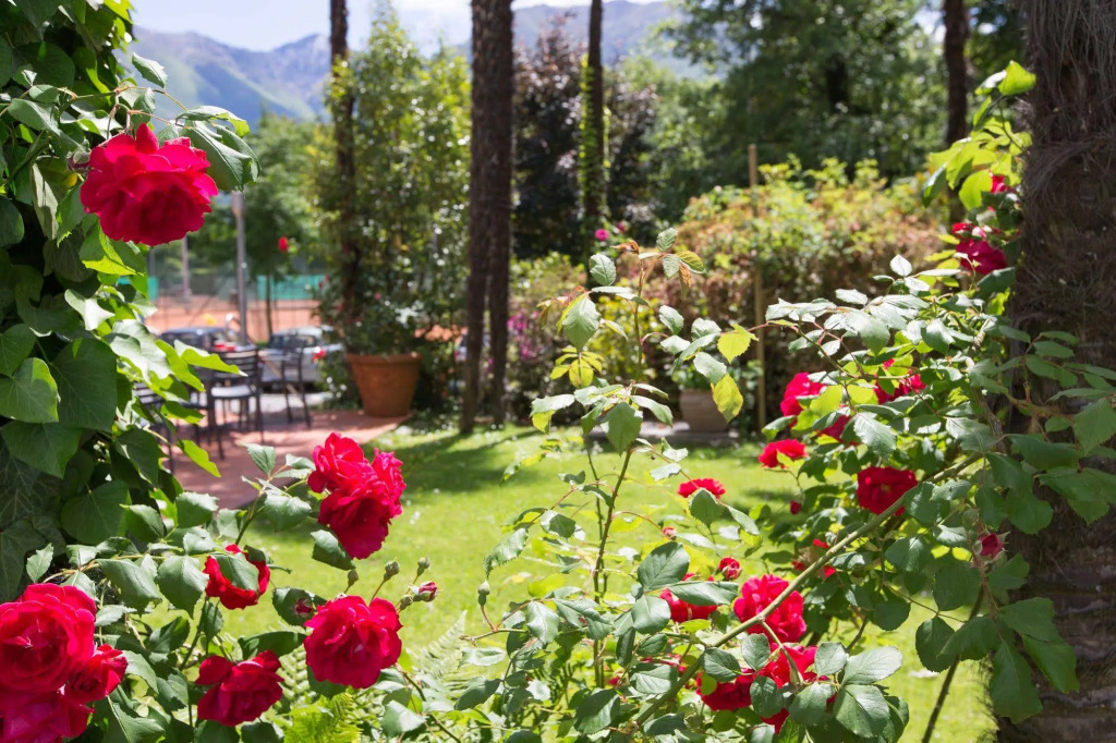 Aparthotel Al Lago