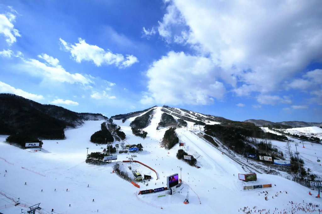 Wellihilli Park Resort