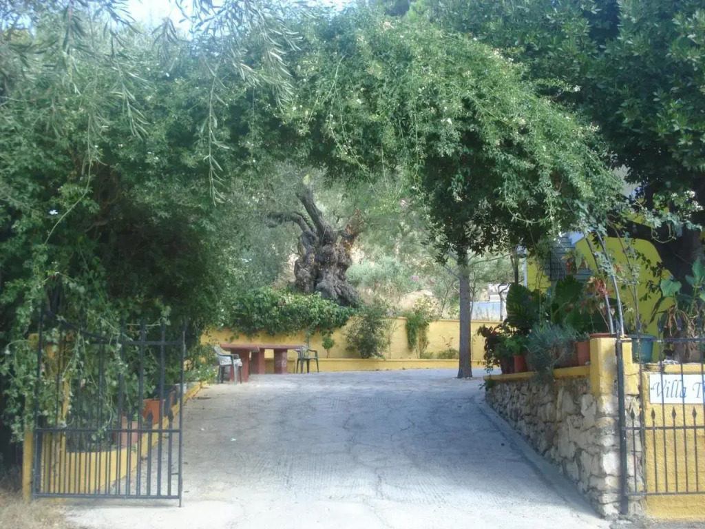 Villa Theodora