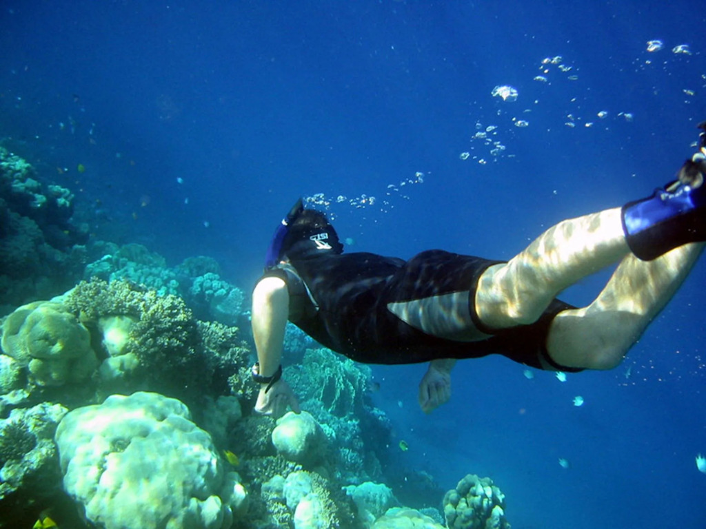 Red Sea Relax Hotel