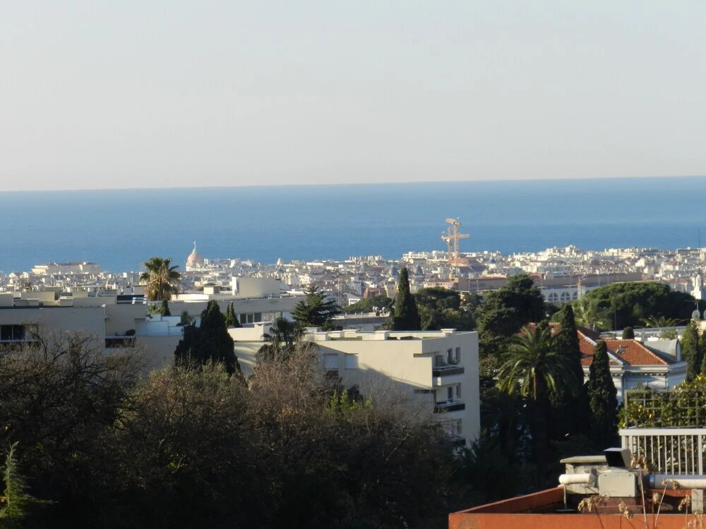 Le Parc De Cimiez