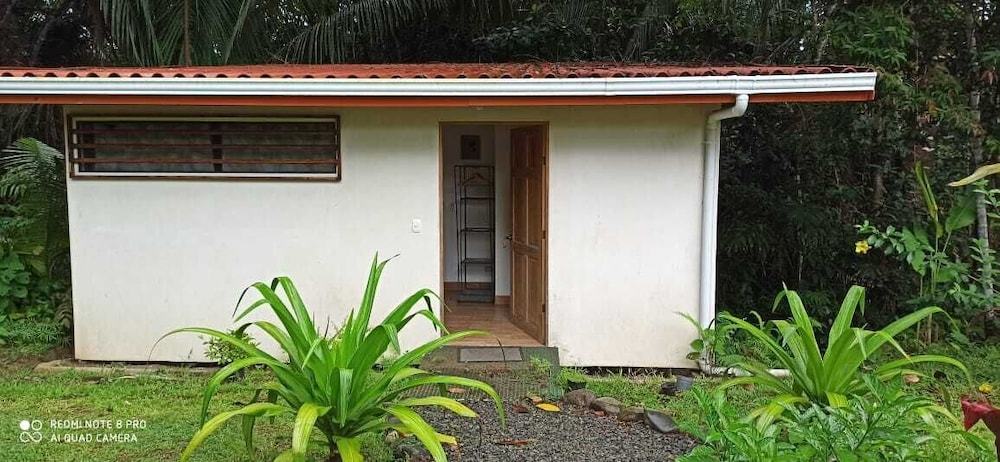 Selva Linda Lodge jungle wildlife vue and birdwatching