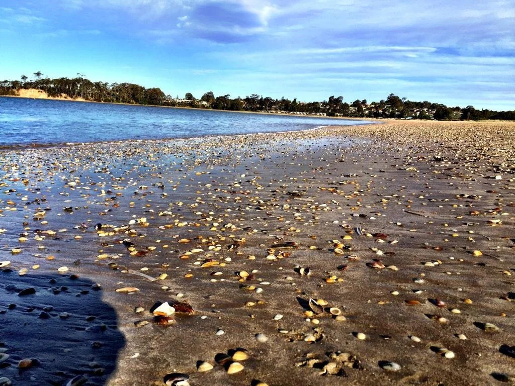 Parker by the Sea