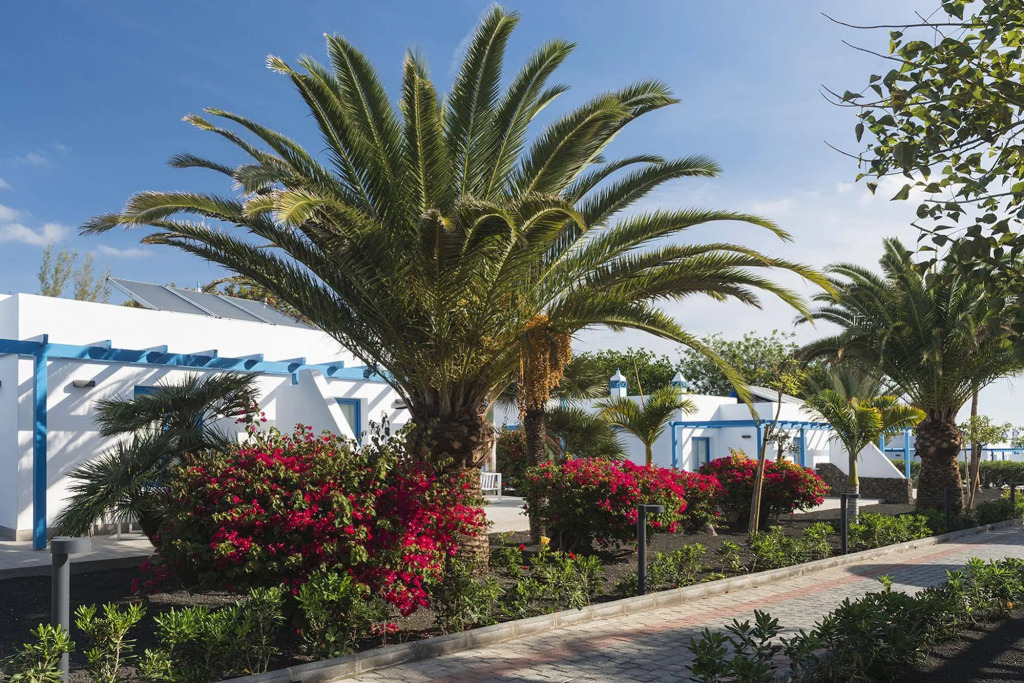 Elba Premium Suites