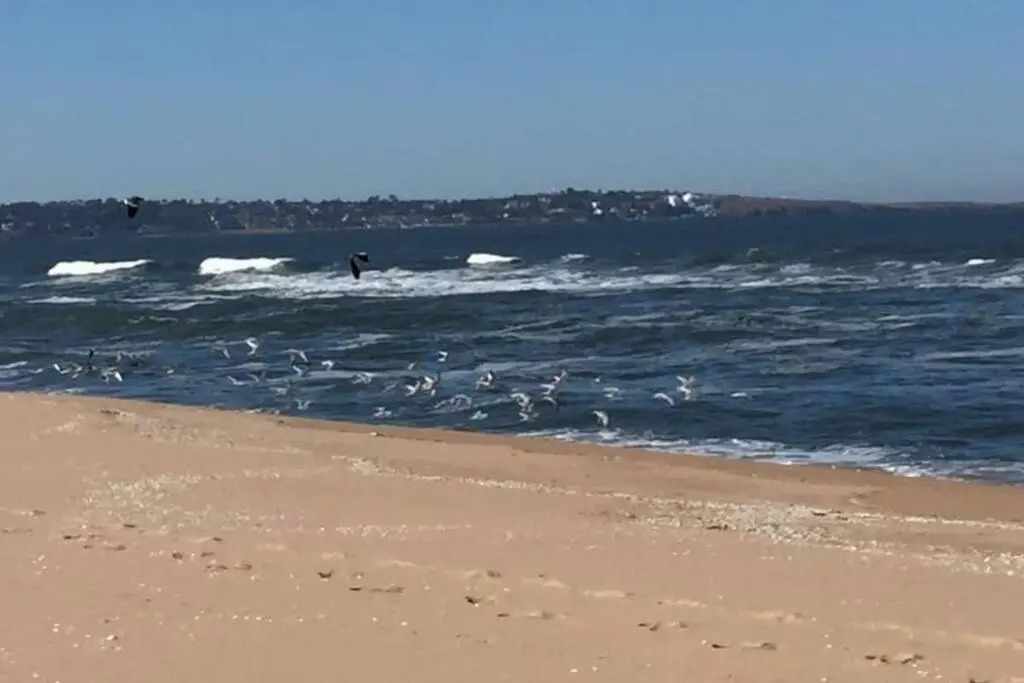 Casa frente al mar Violeta, 5 personas un paraíso divino!!!