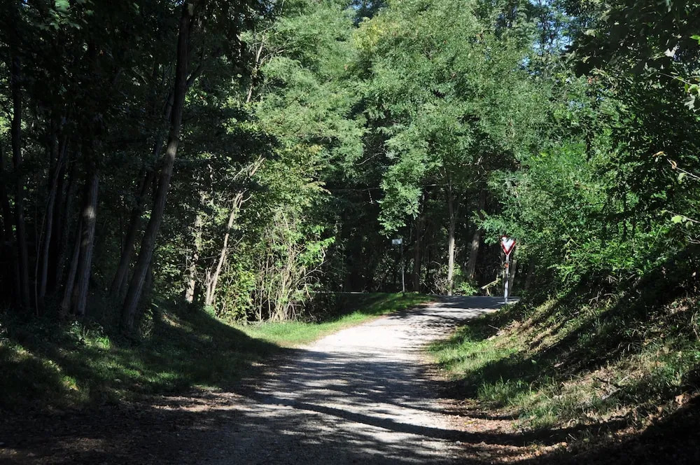 Villa Fior di Robinia