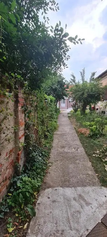 Amedeo Studio