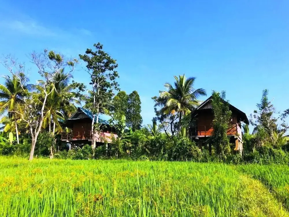Sigiriya Paddy Field Hut