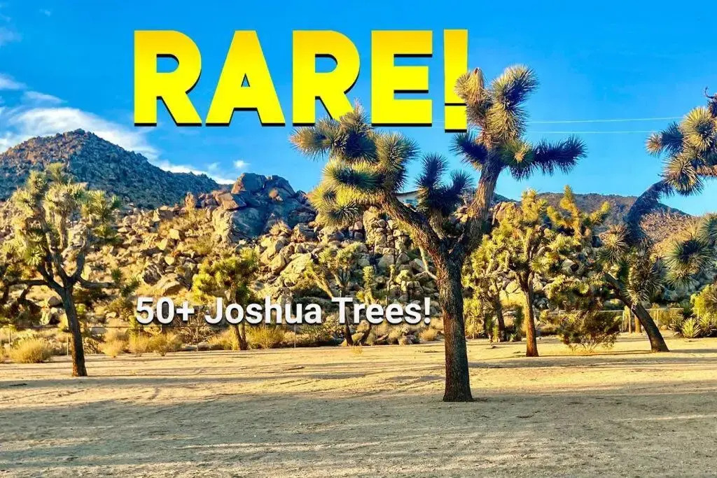 The Way Out Ranch. Escape to Solitude on 2.5 acres
