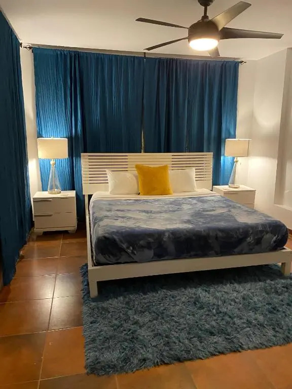 Mcleary Apt 2 Casa Ocean Park Beach San Juan
