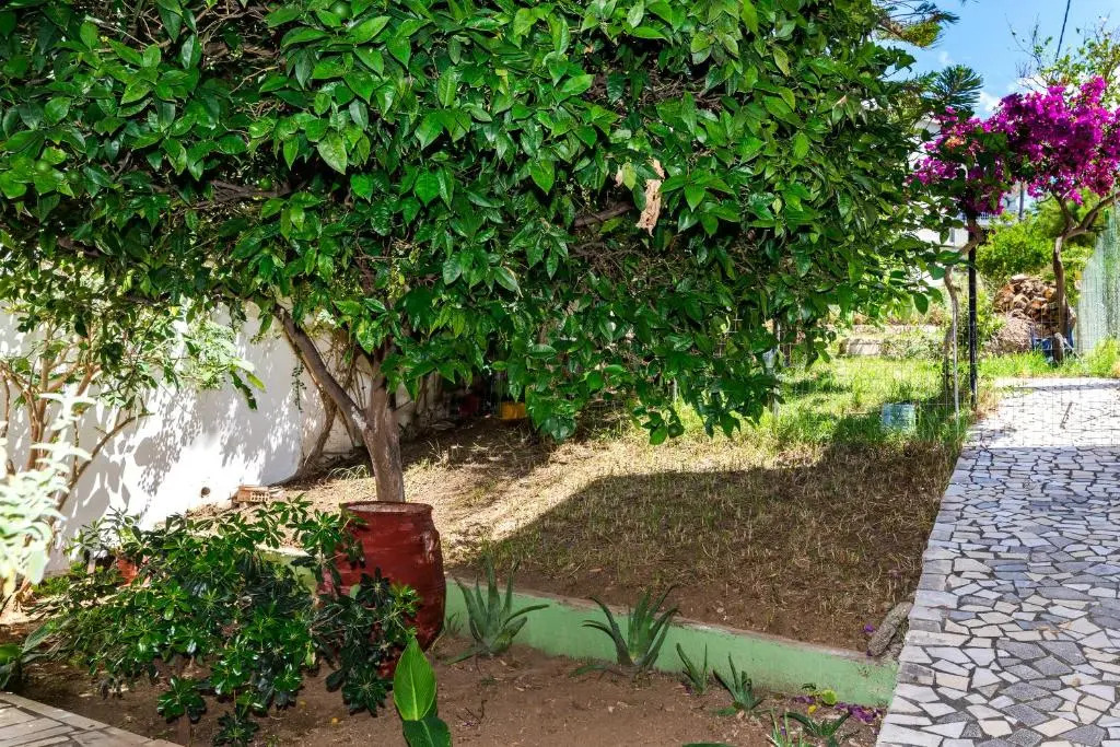 Erato Hotel Apartments