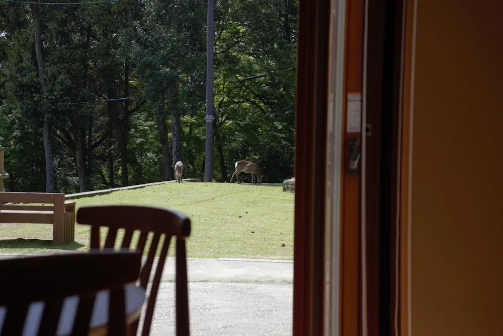 Mountain Home Lodge in Deer Park