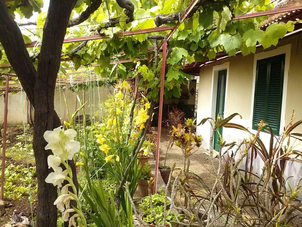 House with 2 Bedrooms in Gaula, with Wonderful Sea View And Enclosed Garden