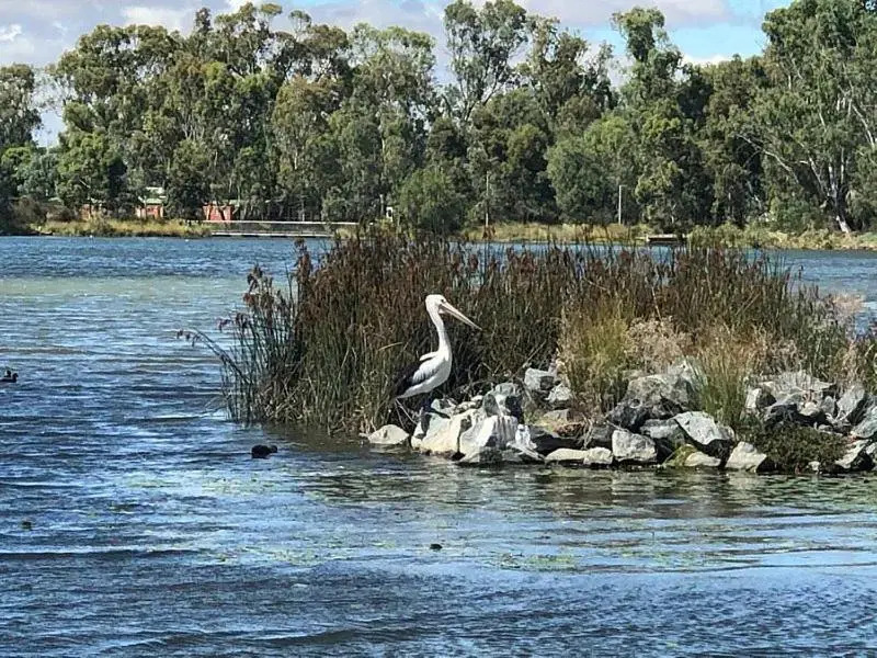 Lovely 2 bedroom apartment across from Shepp Lake.