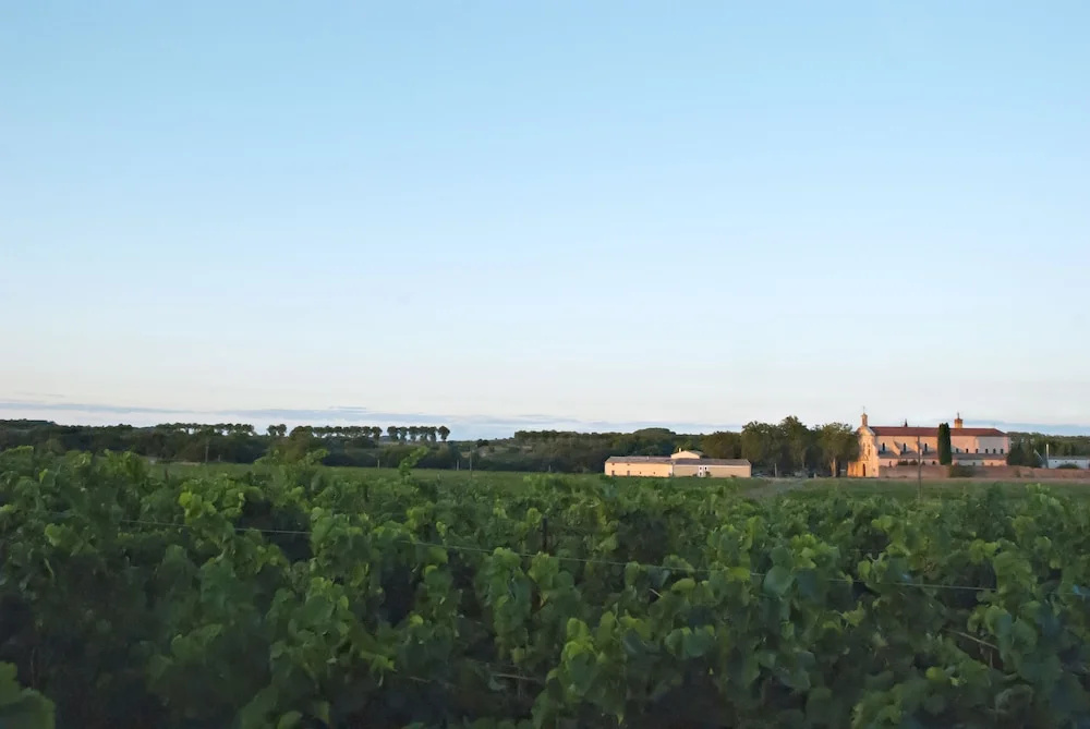 Chartreuse de Mougeres - Caux Pézenas