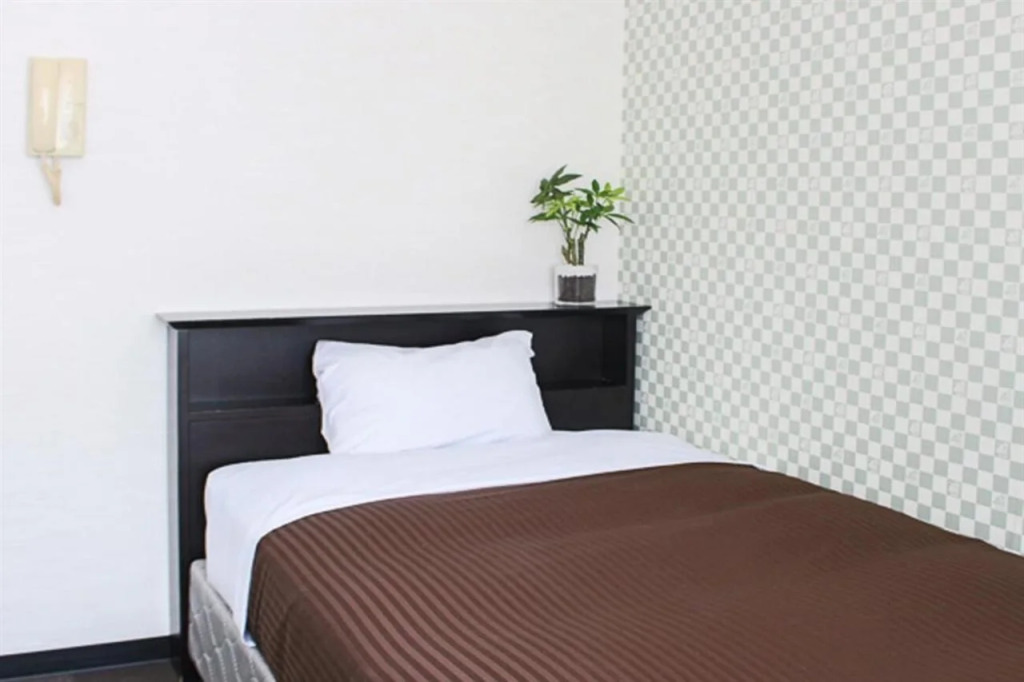 HOTEL LiVEMAX BUDGET Higashi Ueno
