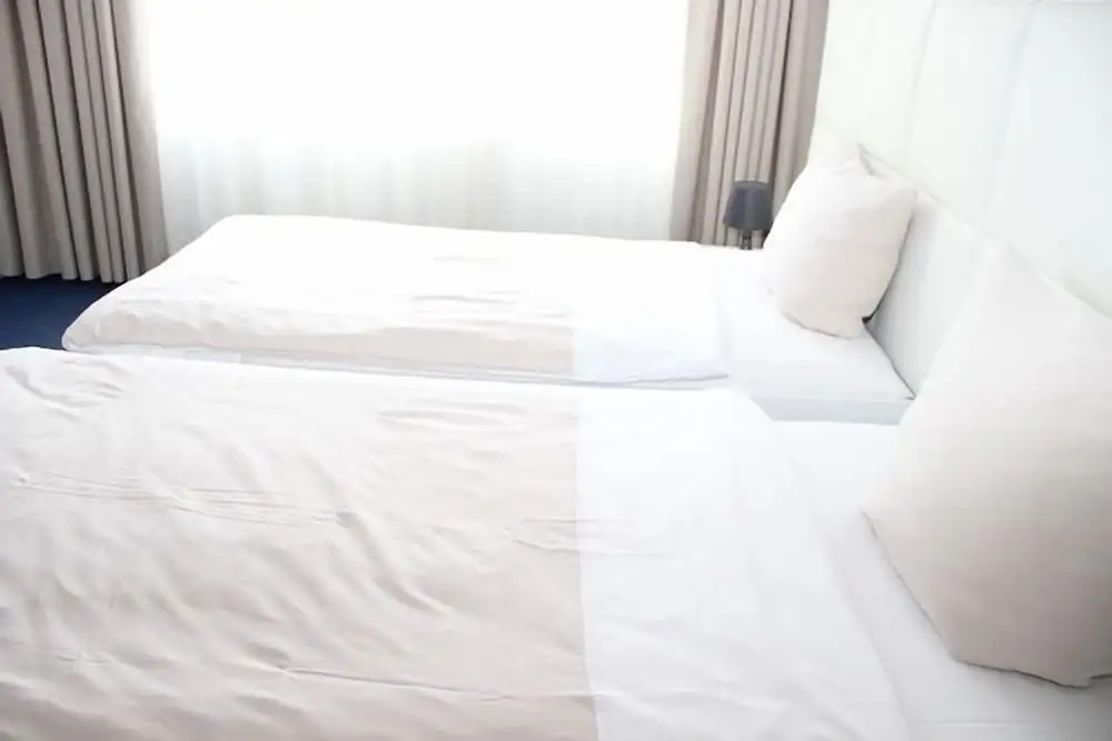 Parkhotel David