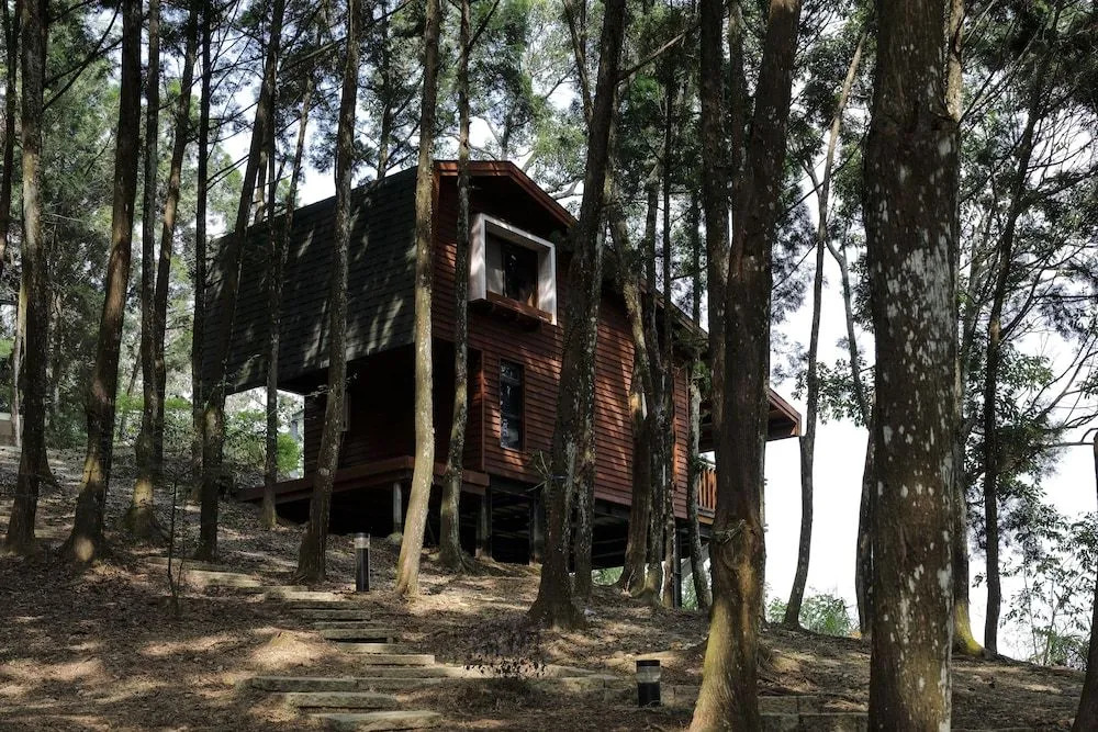 Nine Trees Forest House