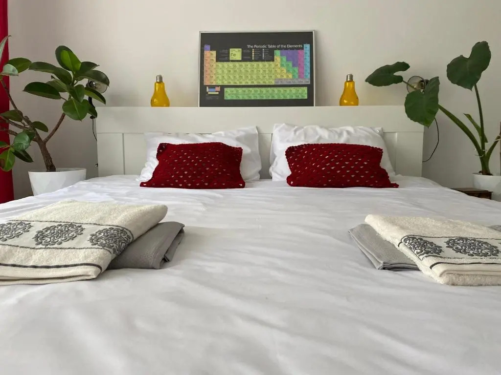 Carolina Apartment