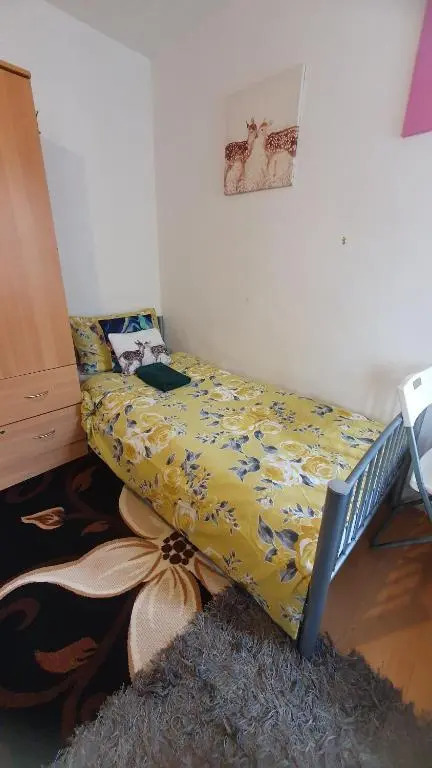 Comfortable Host, in zone 2-3
