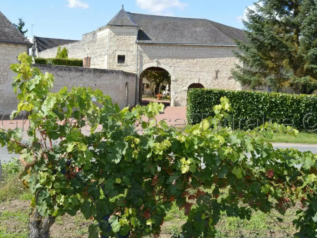 Gîte Ligré, 2 pièces, 2 personnes - FR-1-381-437