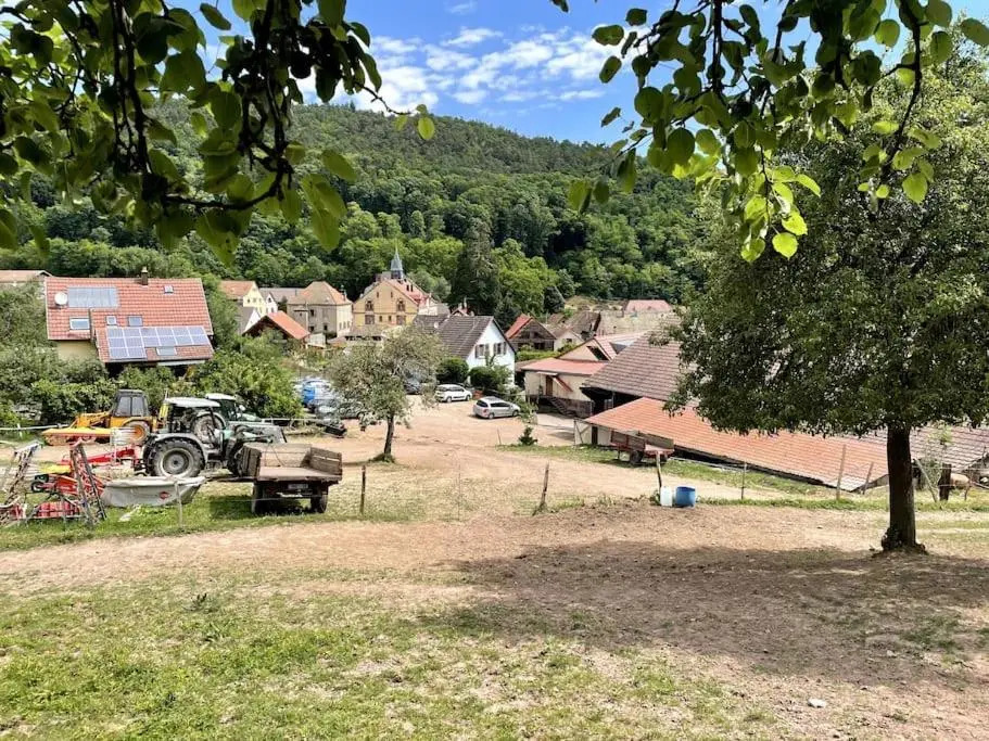 Appart' cosy dans un ranch sur la route des vins