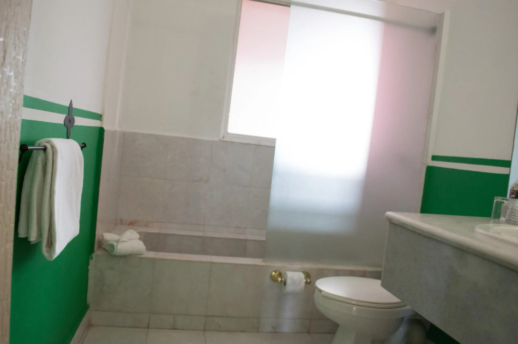 Hotel Residencia Polanco