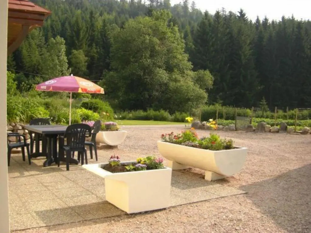 Gîte convivial à Xonrupt-Longemer, près du lac et des activités sportives, avec wifi et terrasse - FR-1-589-204