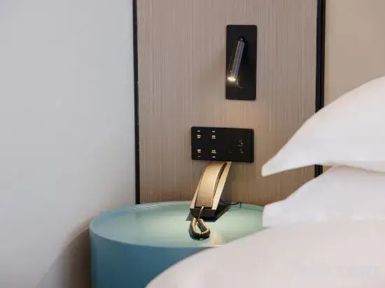 Borrman Hotel (Baise Tianlin)