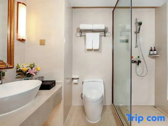 Vienna International Hotel (Qiyang High-tech District)