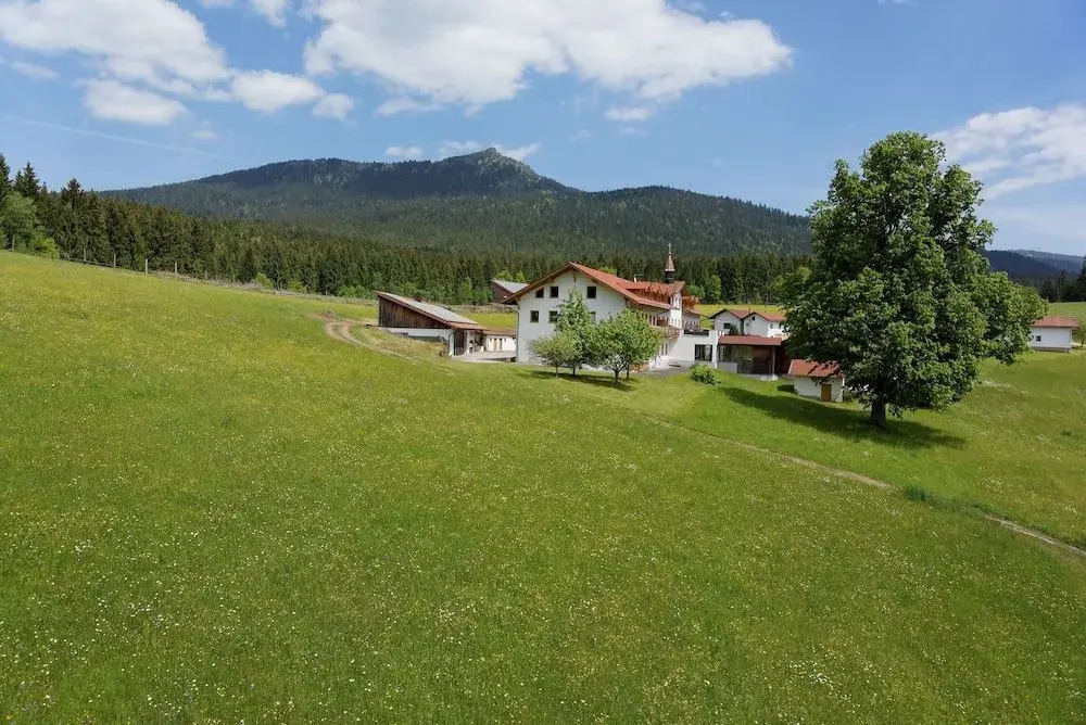 Osserhotel - B&B am Osser