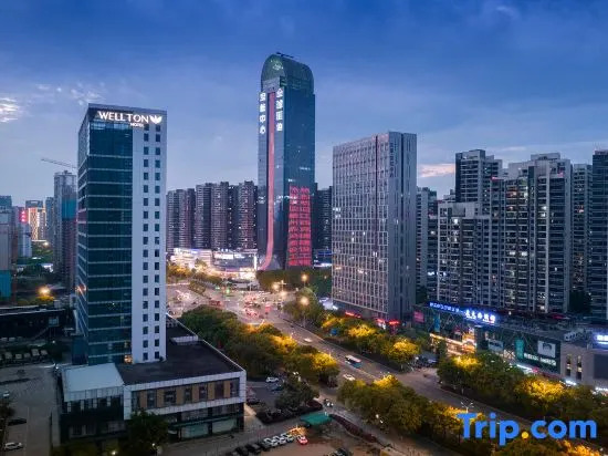 Wellton International Hotel (Ganzhou Baoneng City)