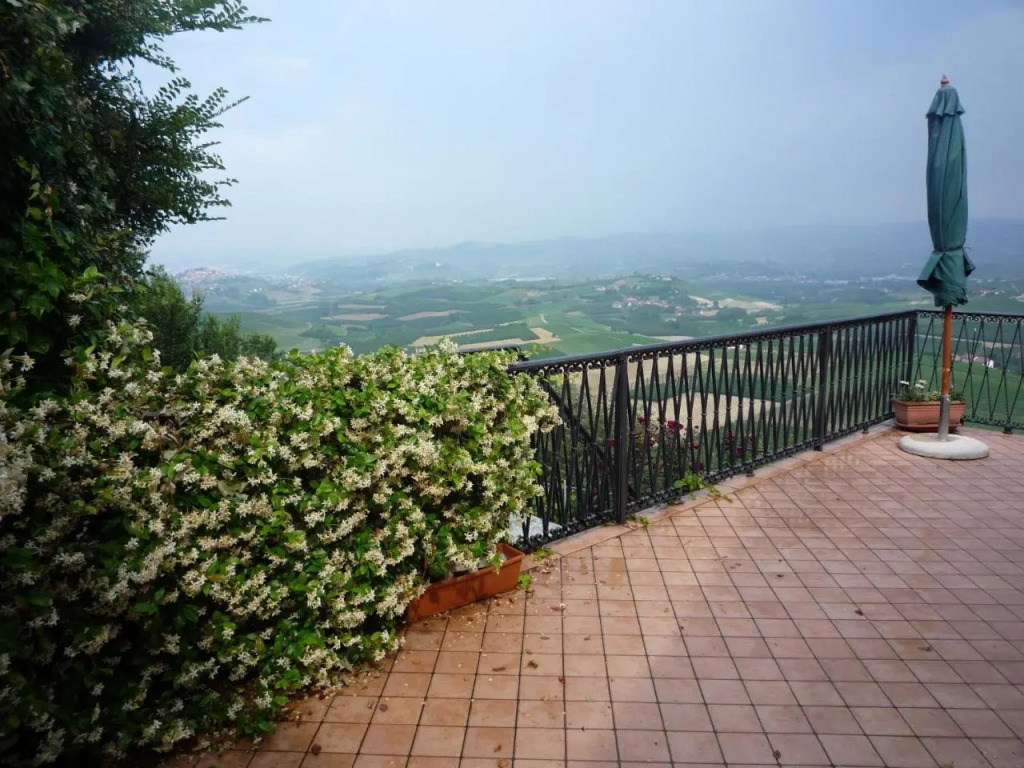 La Vigna Del Parroco