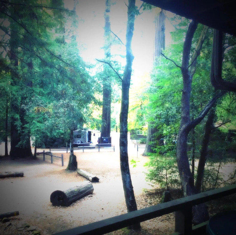Redwoods River Resort & Campground