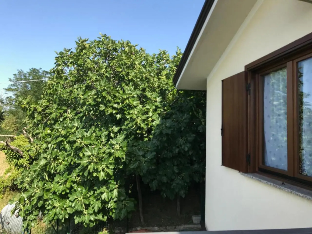 La casa di nonna Bruna