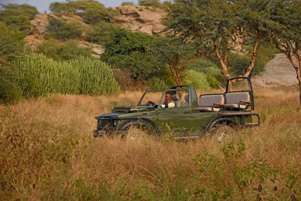 Jawai Leopard Safari Lodge