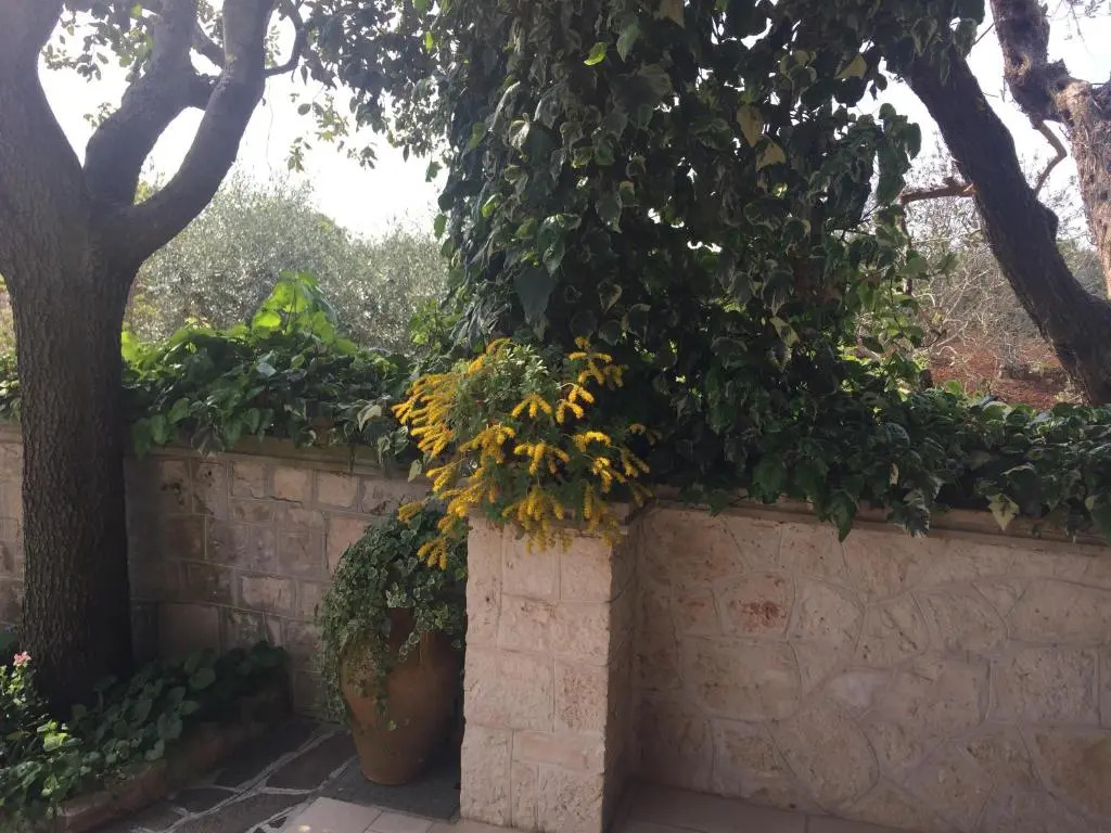 Il Trullo di Nonno Angelo San Marco