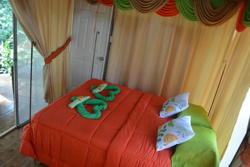 Hotel Tortuguero Jungle