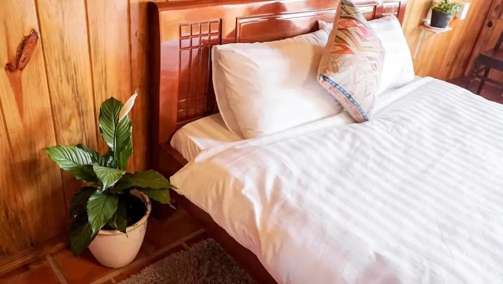 Zen Homestay Đà Lạt