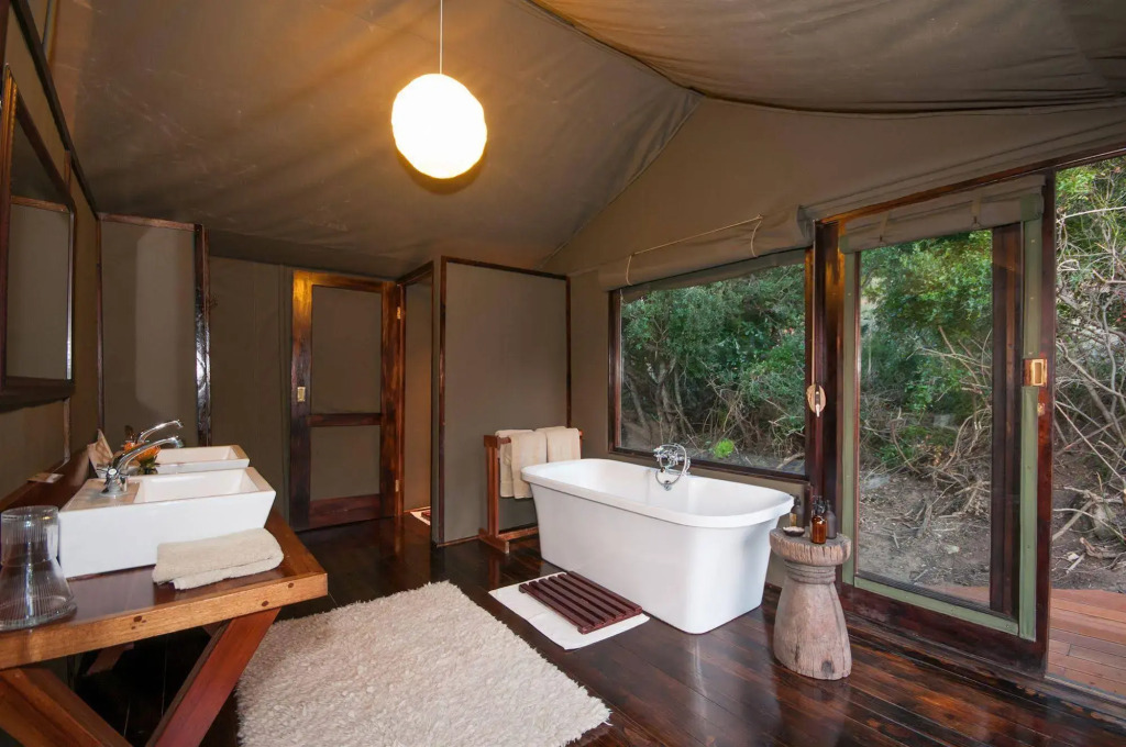 HillsNek Safari Camp - Amakhala Game Reserve